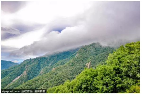 百花山夏景