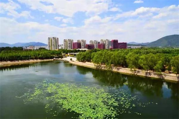 昌平新城滨河森林公园夏景