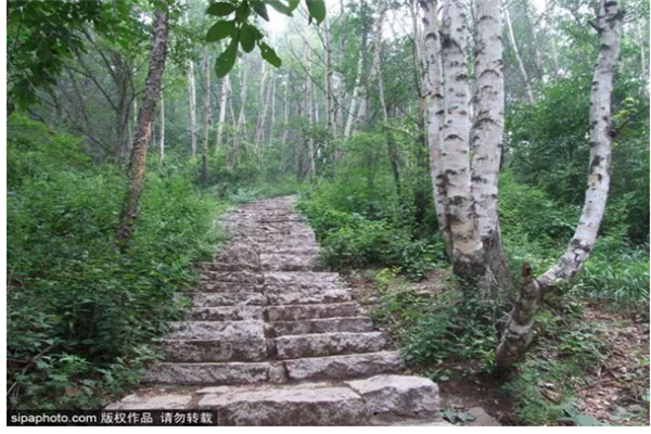 全国乡村旅游重点村北京九个村上榜