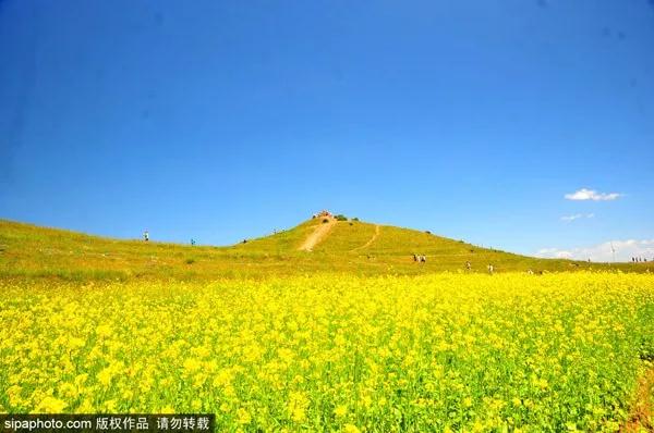 丰宁坝上草原夏景