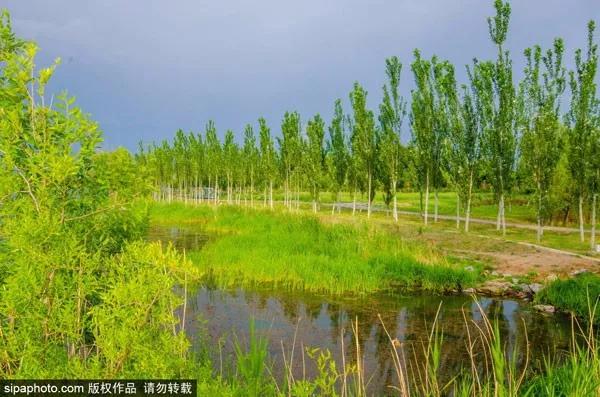 妫河森林公园湿地