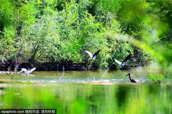 永定河碧波荡漾