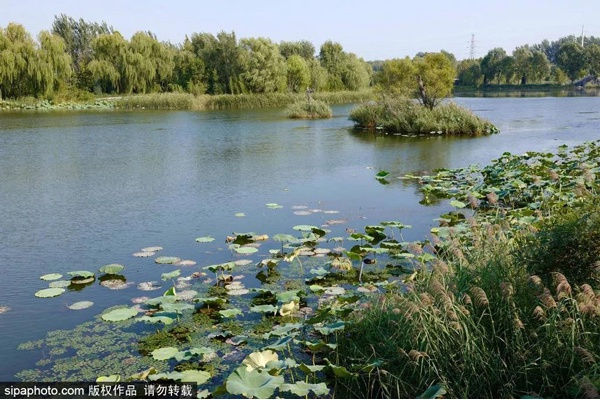 长沟国家泉水湿地公园