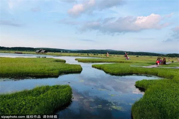 塞罕坝草原