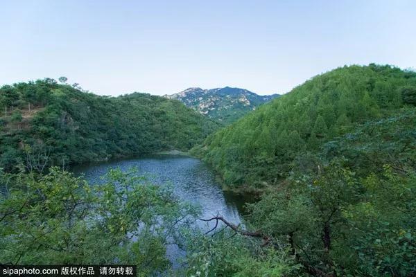 五座楼森林公园夏景