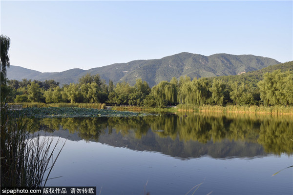 北京植物园秋日时光惹人醉