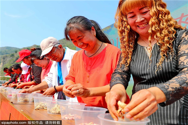 秦皇岛：喜迎丰收节