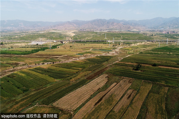 宣化：山地谷子喜获丰收