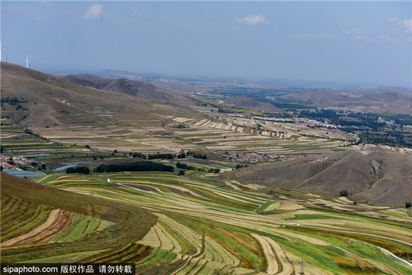 张家口：金秋坝上大地如描 