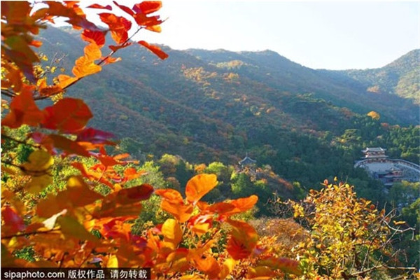 香山公园秋景正美