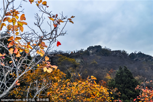 北京香山公园景区景观