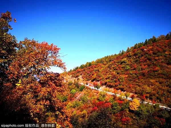 百花山十月美景