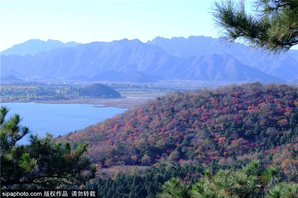 蟒山-十三陵水库红叶