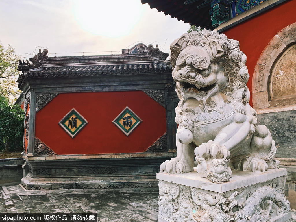 北京西山大觉寺迎来赏秋最高峰