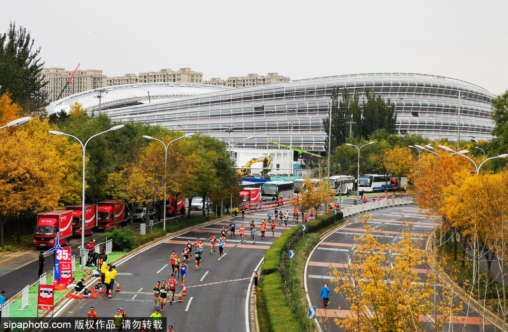 2019北京国际马拉松