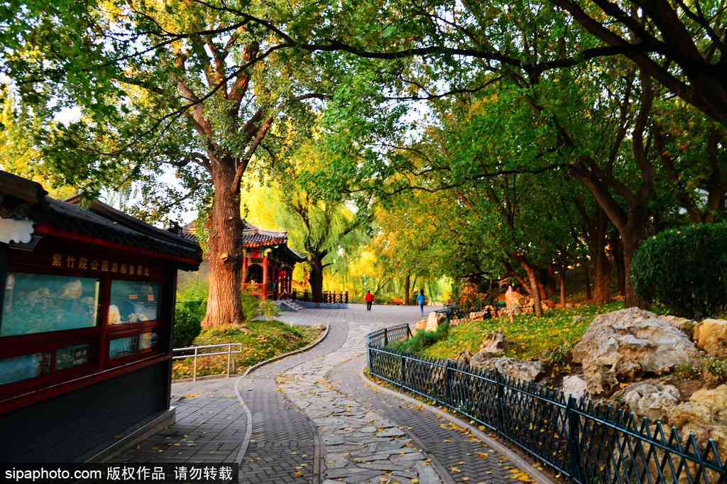 雨后的北京紫竹院公园异常美丽。