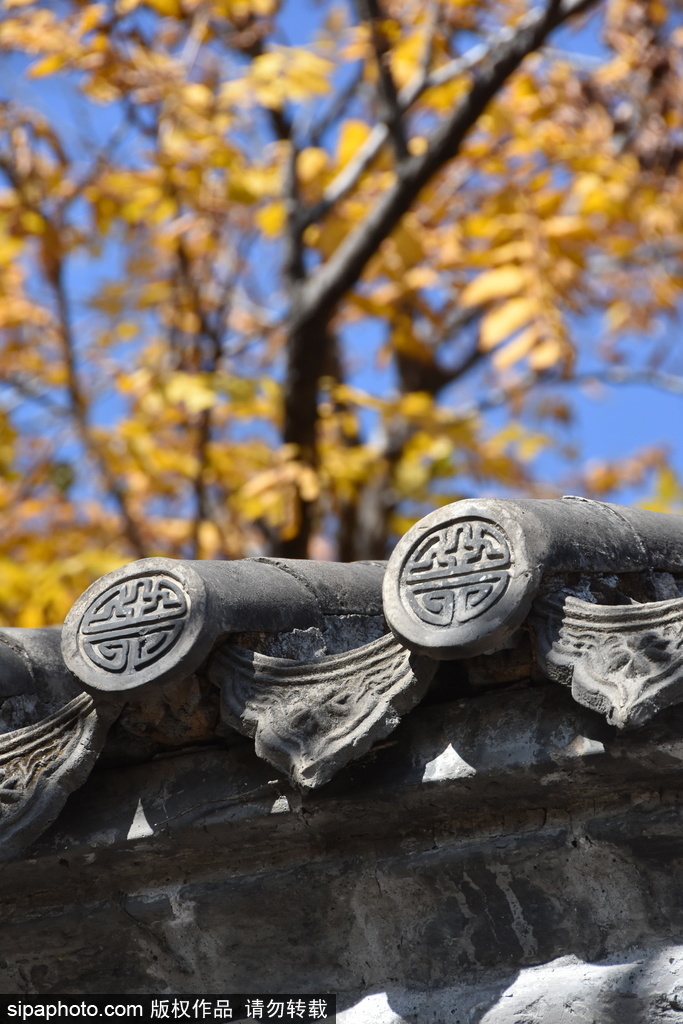 登高远眺北京城，百望山里秋意浓