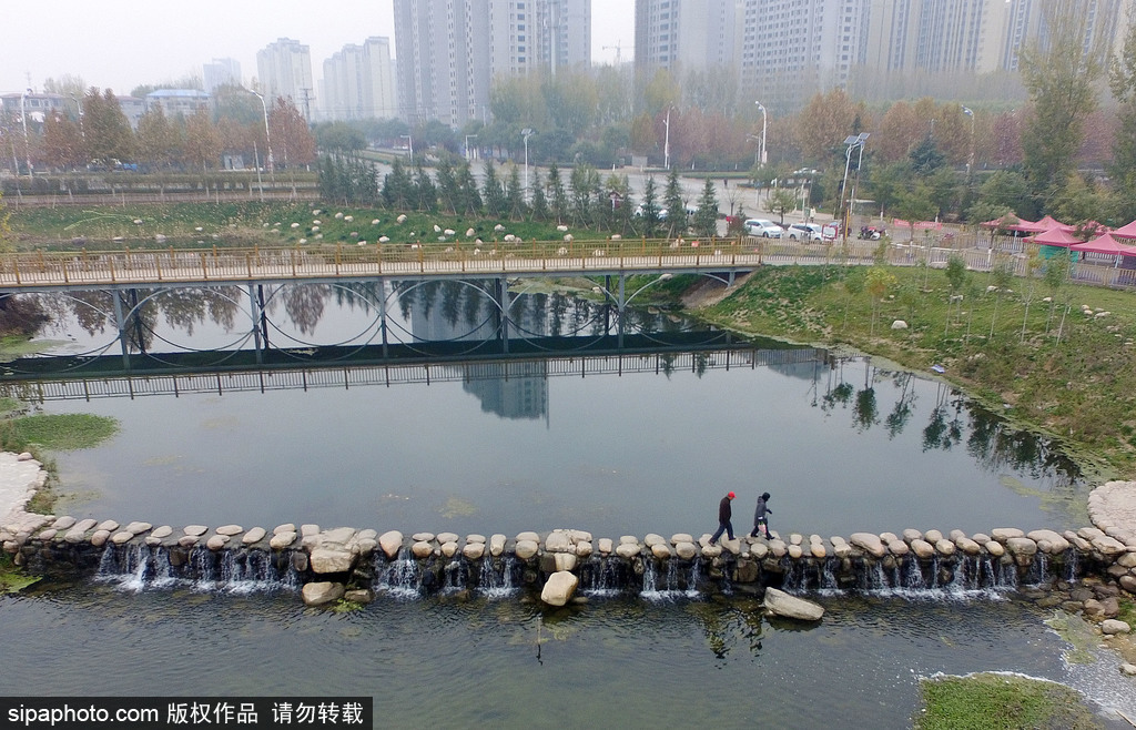 河北邯郸如意湖公园：废弃藕塘变身生态公园