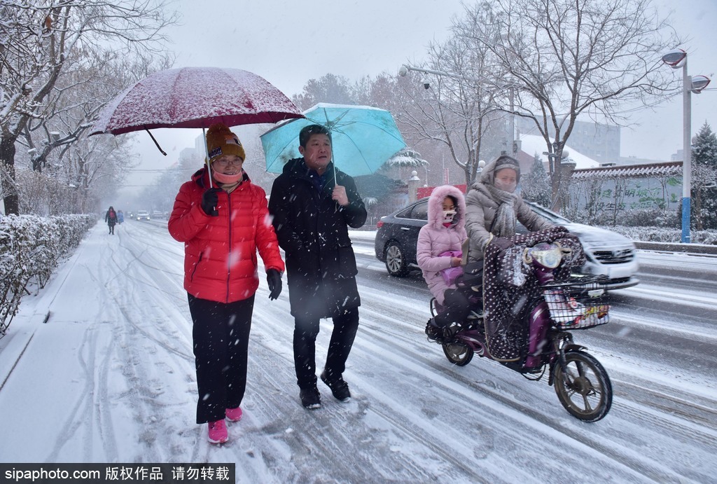 河北迎来大范围降雪