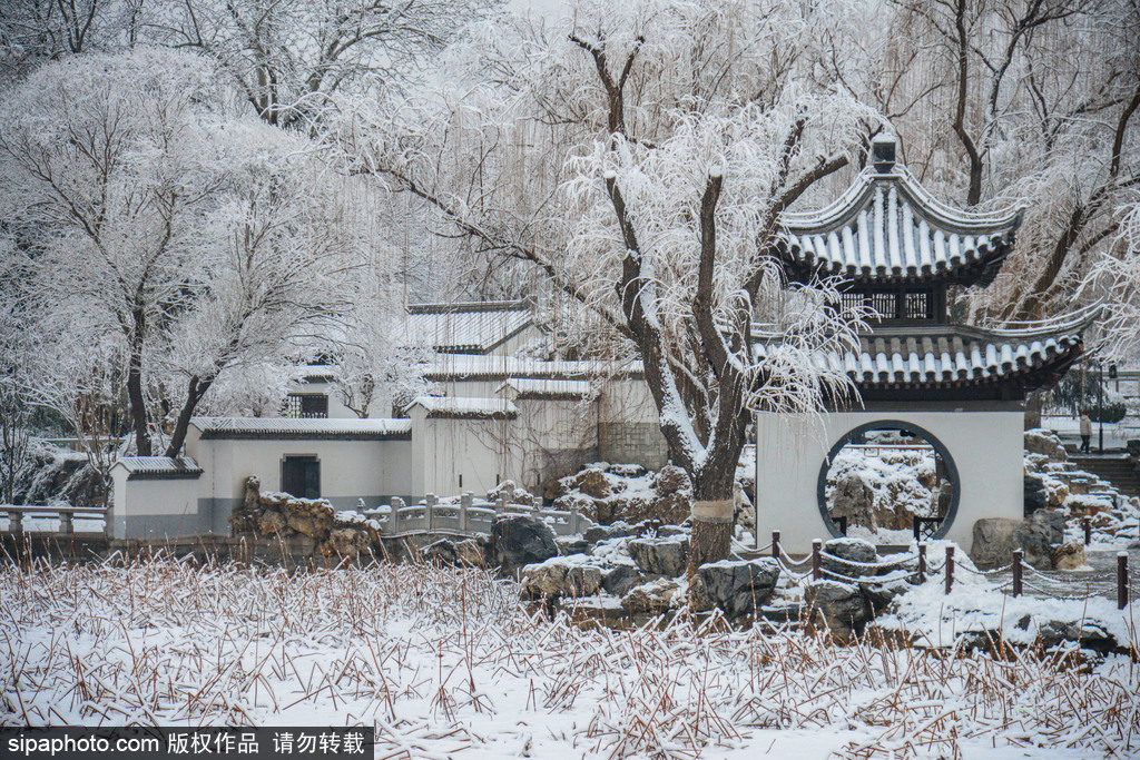 冬雪莅临陶然亭公园