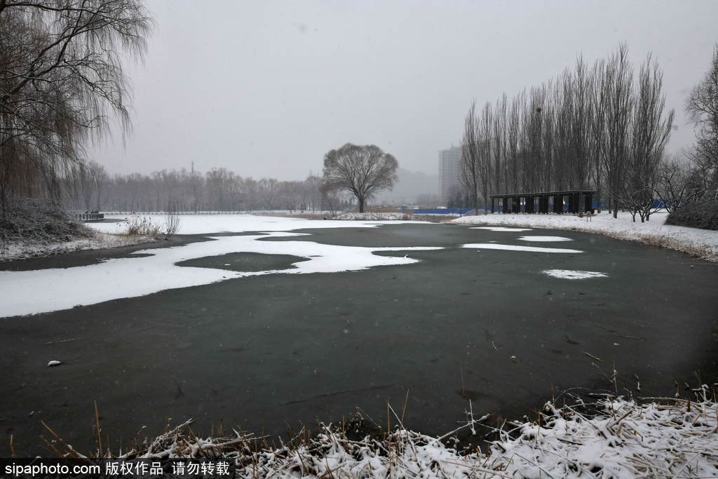 2020年北京鼠年的第一场雪