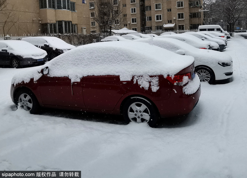 北京喜降鼠年第二场雪 银装素裹景致美