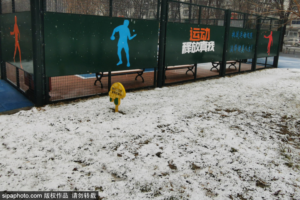 北京：“情人节”迎大雪天气，银装素裹美不胜收