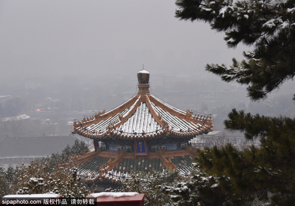 北京：故宫雪后银装素裹景致壮美