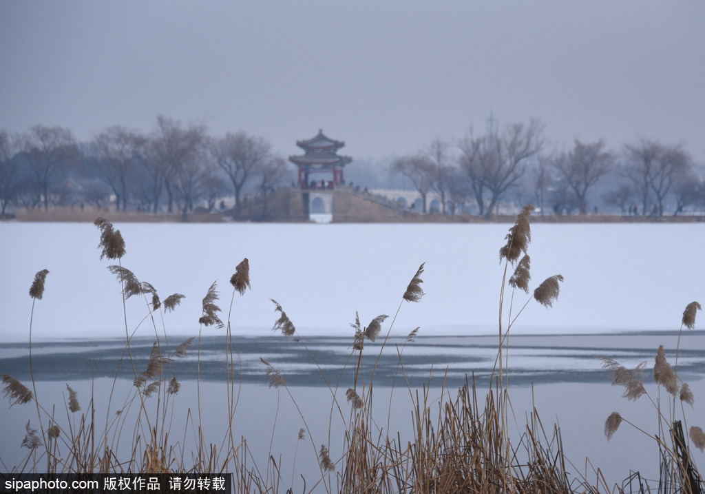 北京：颐和园雪后银装素裹景致美