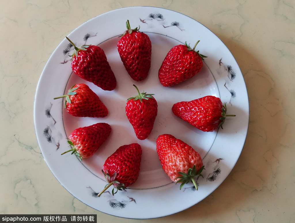 北京：春日新鲜草莓