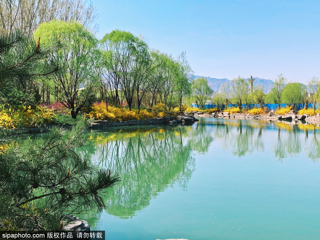 90%北京人都不知道的宝藏地方：齐物潭公园