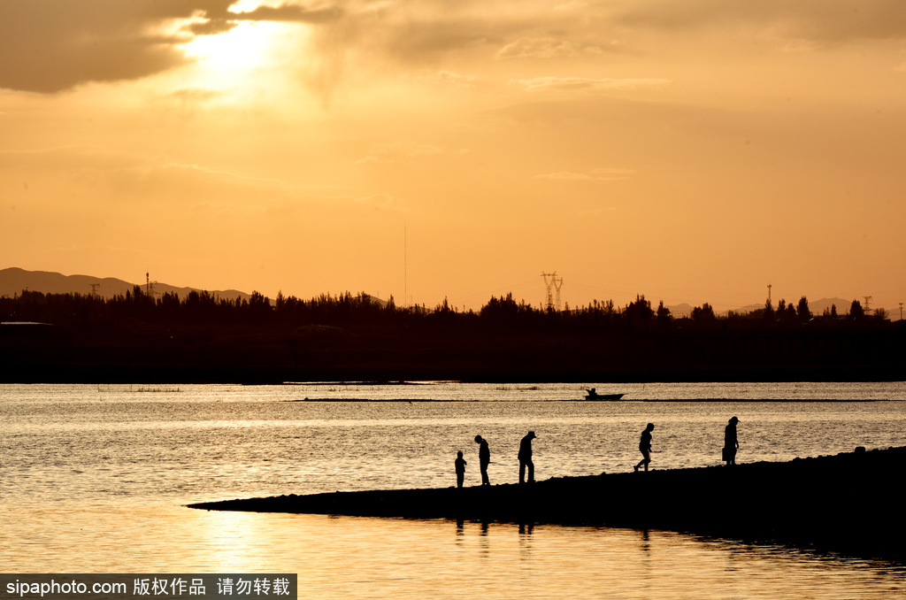 宣化：洋河湿地夕阳美