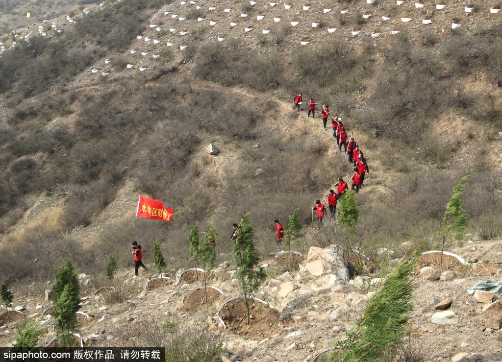 永年：“挂图作战”让万亩荒山换新颜