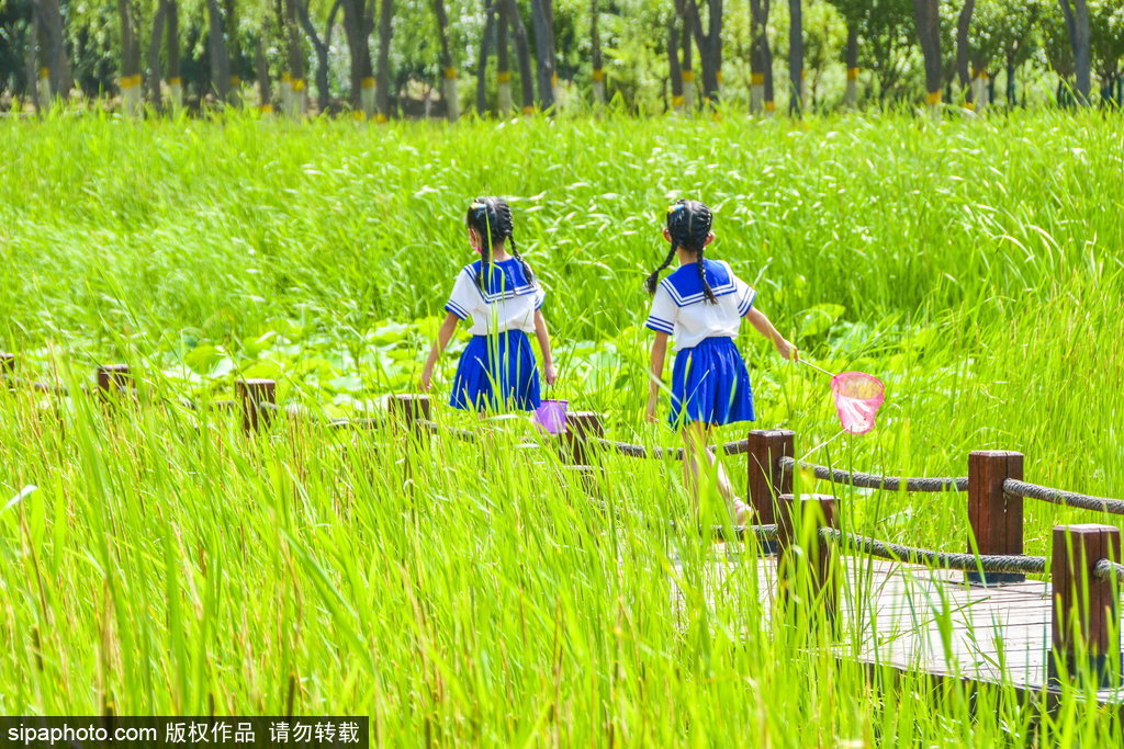 六一国际儿童节，孩子们欢聚在滨水公园