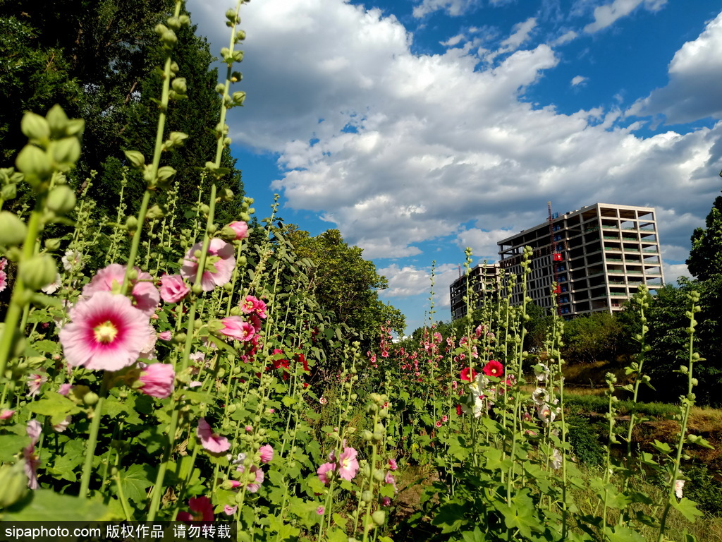 朝阳区郊野公园黄草湾