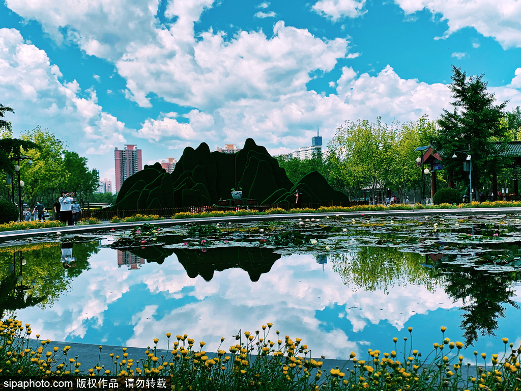 “天空之境”般的莲花池公园