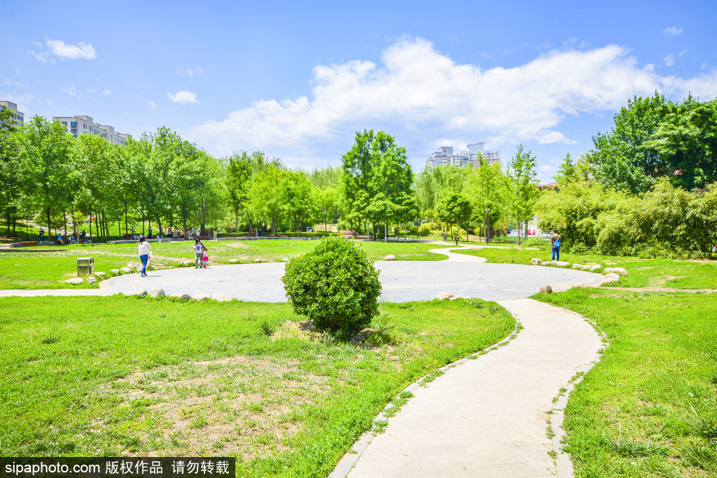 社区中的华汇紫薇公园