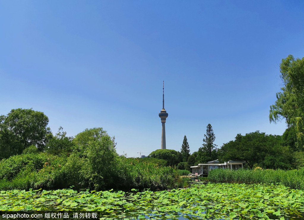 世界环境日将至，北京持续晴热天气景致美