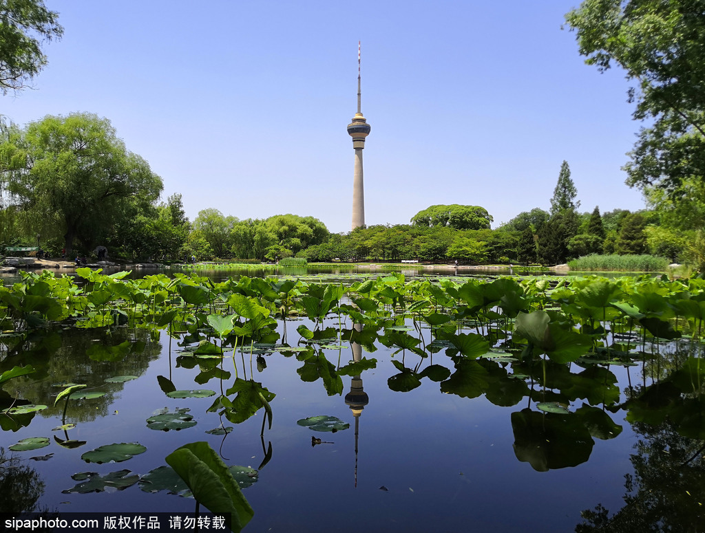 北京印象——世界公园 - 知乎