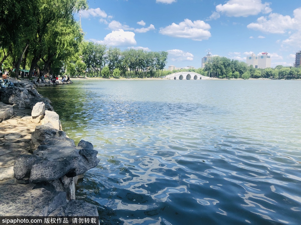 迎世界环境日，北京玉渊潭蓝天碧水景致超美