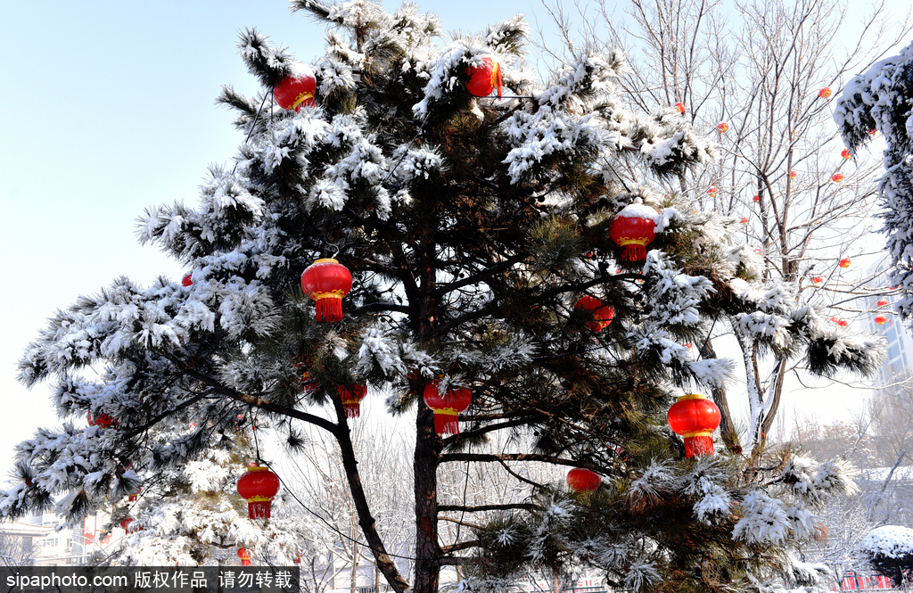 宣化：雪打红灯