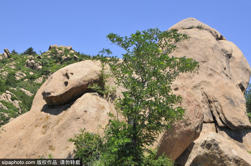 密云区云峰山景区