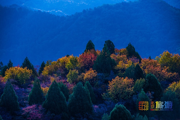 魅力风景：智慧谷