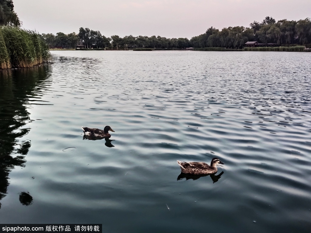 夜游西海湿地公园