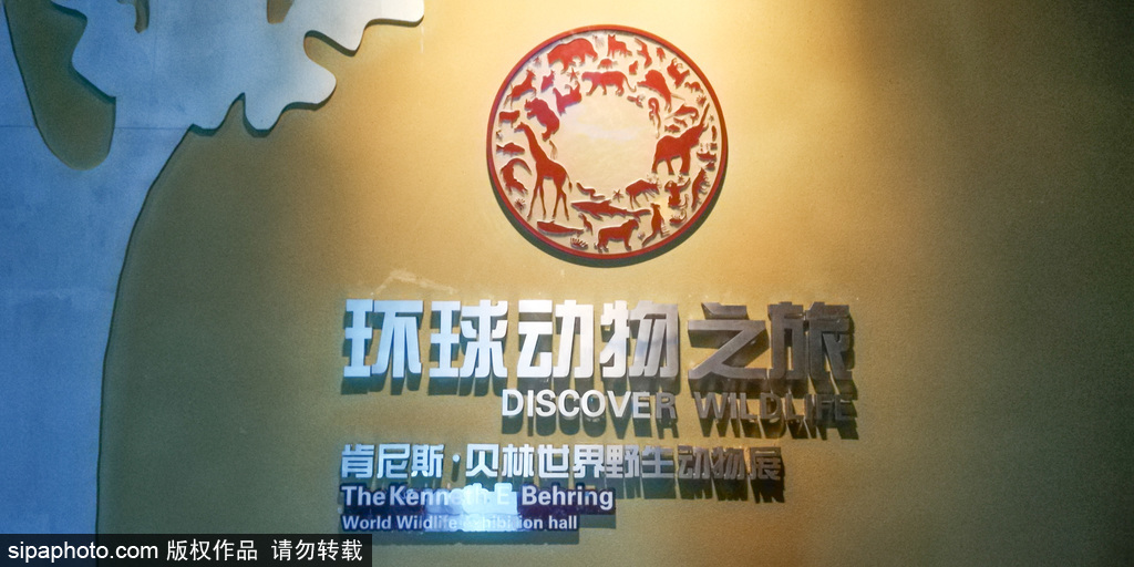 天津自然博物馆的《家园·生态》展区