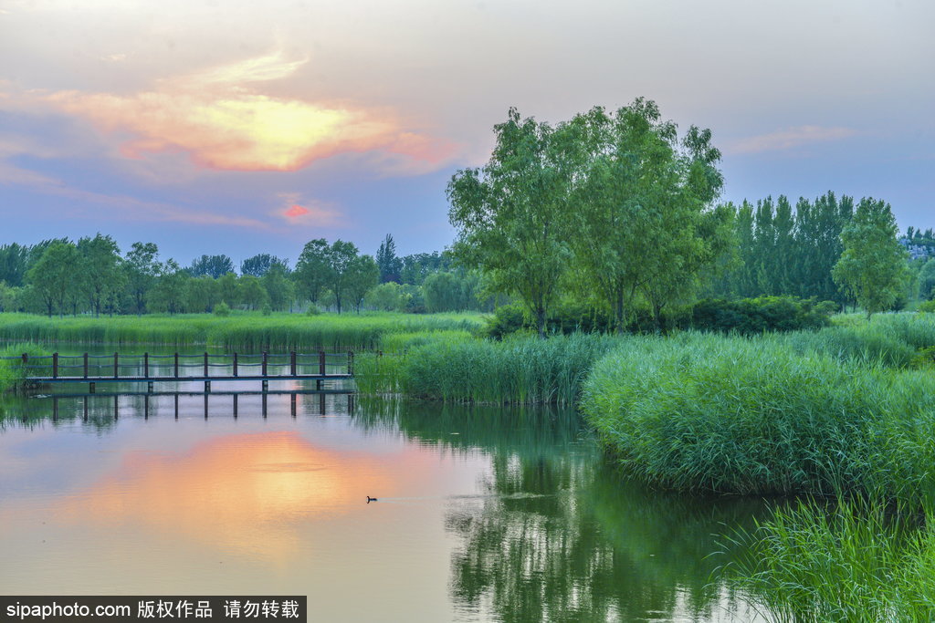 夕霞夜色中的湖泊栈道