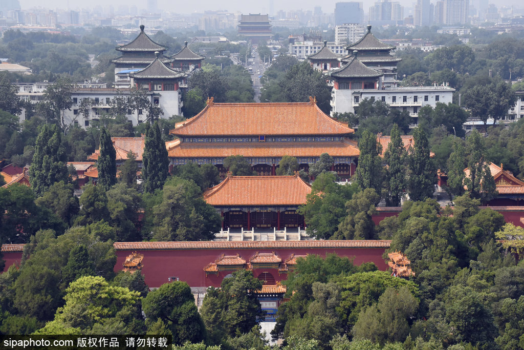 景山公园夏日绿意葱茏风光静美