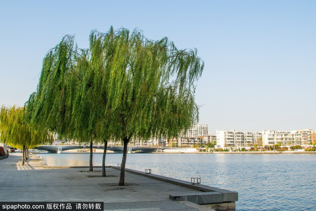 天津海河上的“光华桥”及沿岸风光