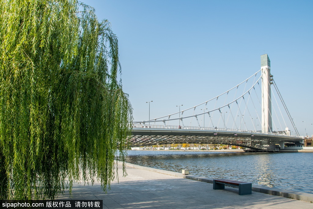天津海河上的“富民桥”及沿岸风光