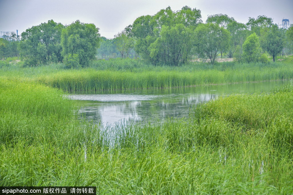 正在建设中的温榆河湿地公园